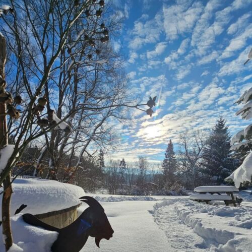 Zimowy Camp – reset dla ciała i głowy